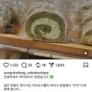 메아리작은도서관 | 리쥬란 후기 / 대전 당일치기 / 라부부깡