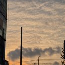 이레 돈까스 막국수 이미지