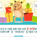 다온케이 이미지