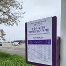 주랑케이크 | 용인 호암미술관 셔틀 벚꽃 개화시기 피크닉 후기