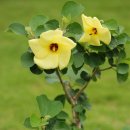 비학농장 이미지