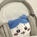 짠하자 이미지
