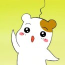 커몽 이미지