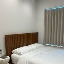 풀돌나무 이미지