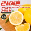 레몬 이미지