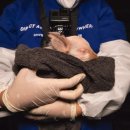 새벽노을2 이미지