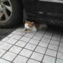 강남역 6번 출구 앞 이미지