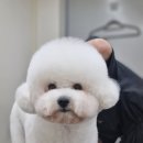 멍뜰리에 이미지