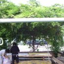 바다위 산아래 이미지