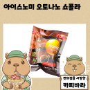 벨기에 초콜릿 사용 어른의 아이스크림 글리코 아이스노미 오토나노 쇼콜라