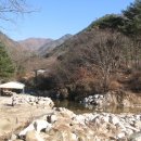 회춘건강원 - 포항시 북구 죽도로40번길 39 | 회춘건강원