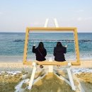 강릉아리솔게스트하우스