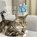 주식회사 토루 이미지