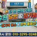 수원-0248 네이버블로그