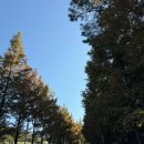 수피아관광농원 이미지