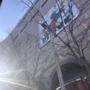 옛맛드림 | 대전1박2일 추천코스 성심당 롯데백화점 대전점 오픈런 후기 총정리