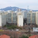 루나메디텍 이미지