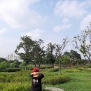 수원-0709 이미지