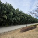 대나무테마정원 화장실 이미지