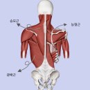 바론헬스케어 | 승모 긴장과 어깨 말림 잡는 상체 루틴_여의도 헬스장 피티 바론짐