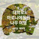 나무여행 이미지