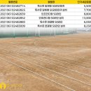 효천초등학교 | 운동장 라인마커 인조잔디형 계주 원형, 피구라인, 직선주로 설치 후기 경기도 경기도 수원 효천초등학교