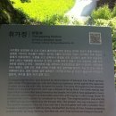 환벽당길 이미지