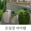카브마인드 이미지