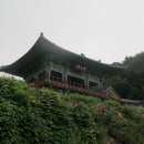 남원 백련사 육조대사 법보단경 이미지