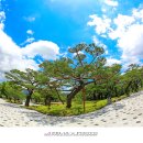 (주)경주산림환경 이미지