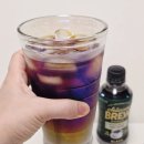 무카페인 커피 대체 음료 추천 빙그레 치커리브루 블랙 솔직 후기
