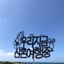 [결혼 준비] 국내 신혼여행에 대해서 (국내 신혼여행지 추천)