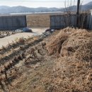 평촌시골집 이미지