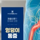 연세튼튼마취통증의학과의원 | 앉아있을 때 엉덩이 통증 좌골신경 문제