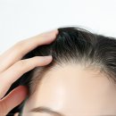 오소울산 이미지