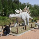 남구-20 이미지
