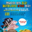 빅히트바다낚시터 이미지