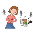 장티푸스(typhoid fever) 이미지