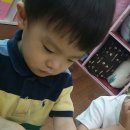 가족나무 이미지