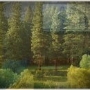 새마을낚시터 이미지