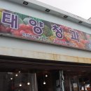 태양청과야채