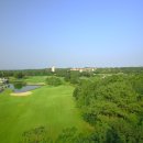 크라운CC 이미지