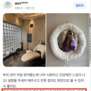 햇츠오프