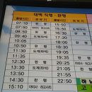 삼척 본전집ㅡ연탄불구이로 임연수어와 양미리