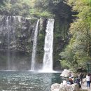 흑돼지한마리 이미지