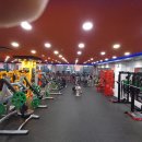 일죽스포렉스 이미지