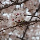 햇살로행정사 이미지