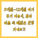 9개월~12개월 아기 후기 이유식, 엄마 마음 쏙 빼닮은 완벽 가이드?!