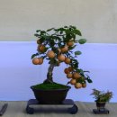 공산중학교 이미지