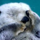 현중농장 이미지